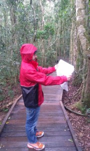 Wolfi knows where to go