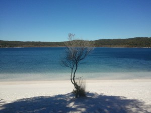 Lake McKenzie - most beautifullest lake ever