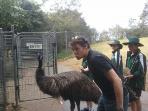 Dodos aren't extinct